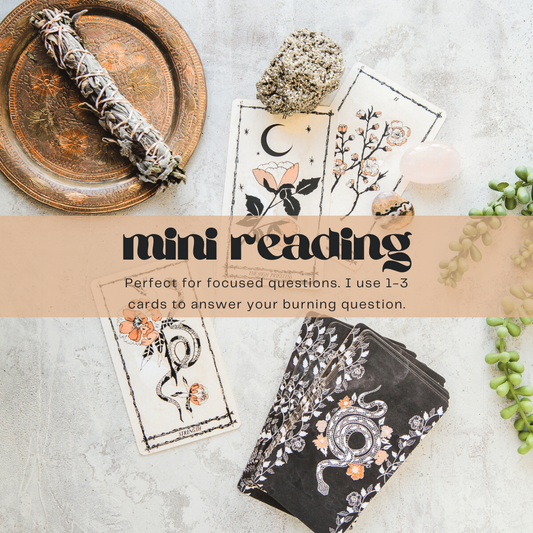 Mini Reading